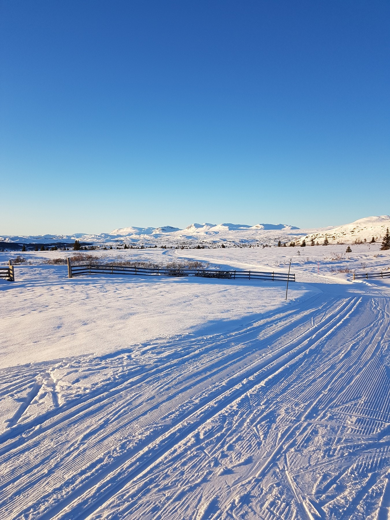 På vinterstid er Ålingsfjellene et eldorado med over 400 kilometer med preparerte langrennsløyper, 2 alpinanlegg og Norges største kjelkeanlegg. Galleribilde