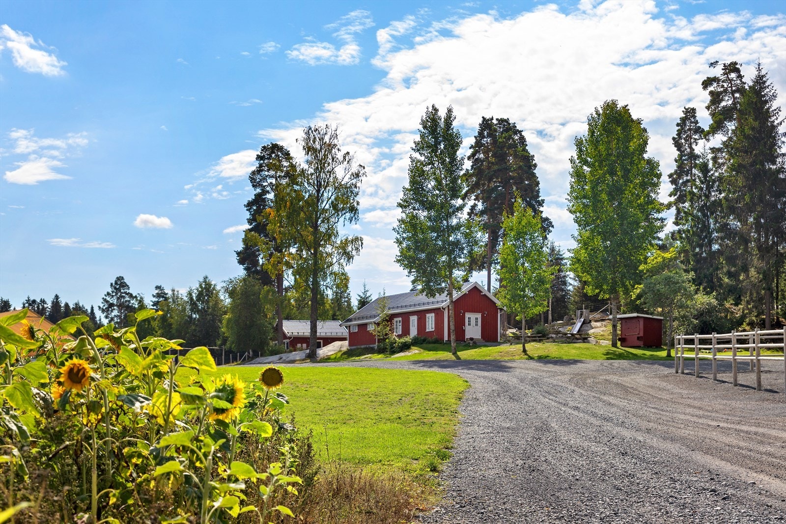Hjorteparken Mork er en besøksgård med ca 100 dyr fordelt på 15 forskjellige arter. Populært sted for familien! Galleribilde