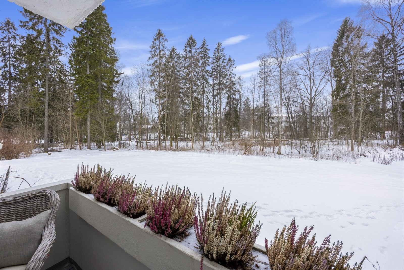 Fra balkongen er det nydelig utsyn over grønne fellesarealer og et nærliggende skogholt. Galleribilde