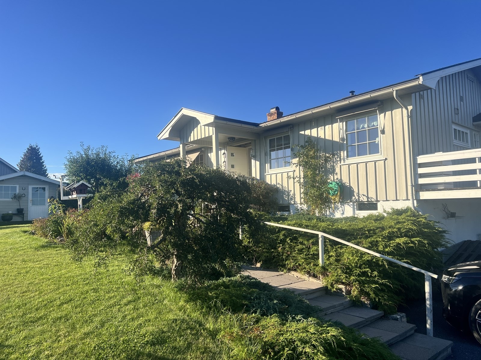 Selgers bilde. Galleribilde