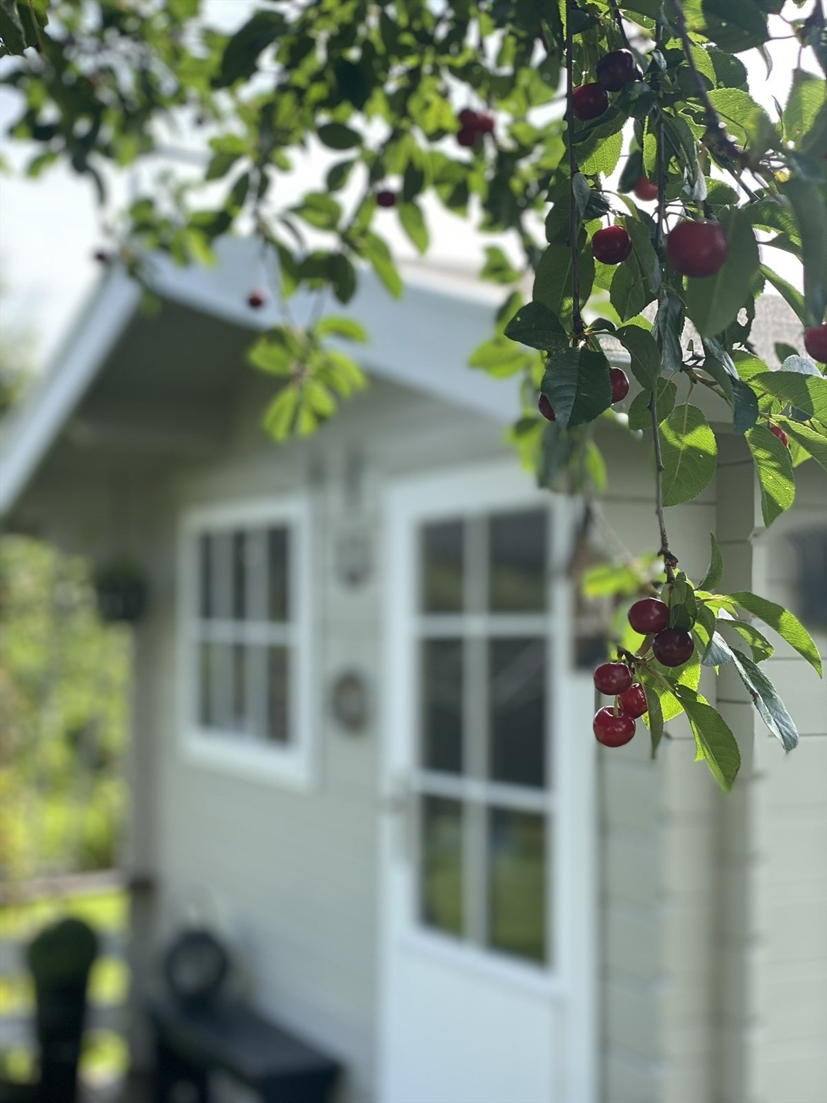 Selgers bilde. Galleribilde