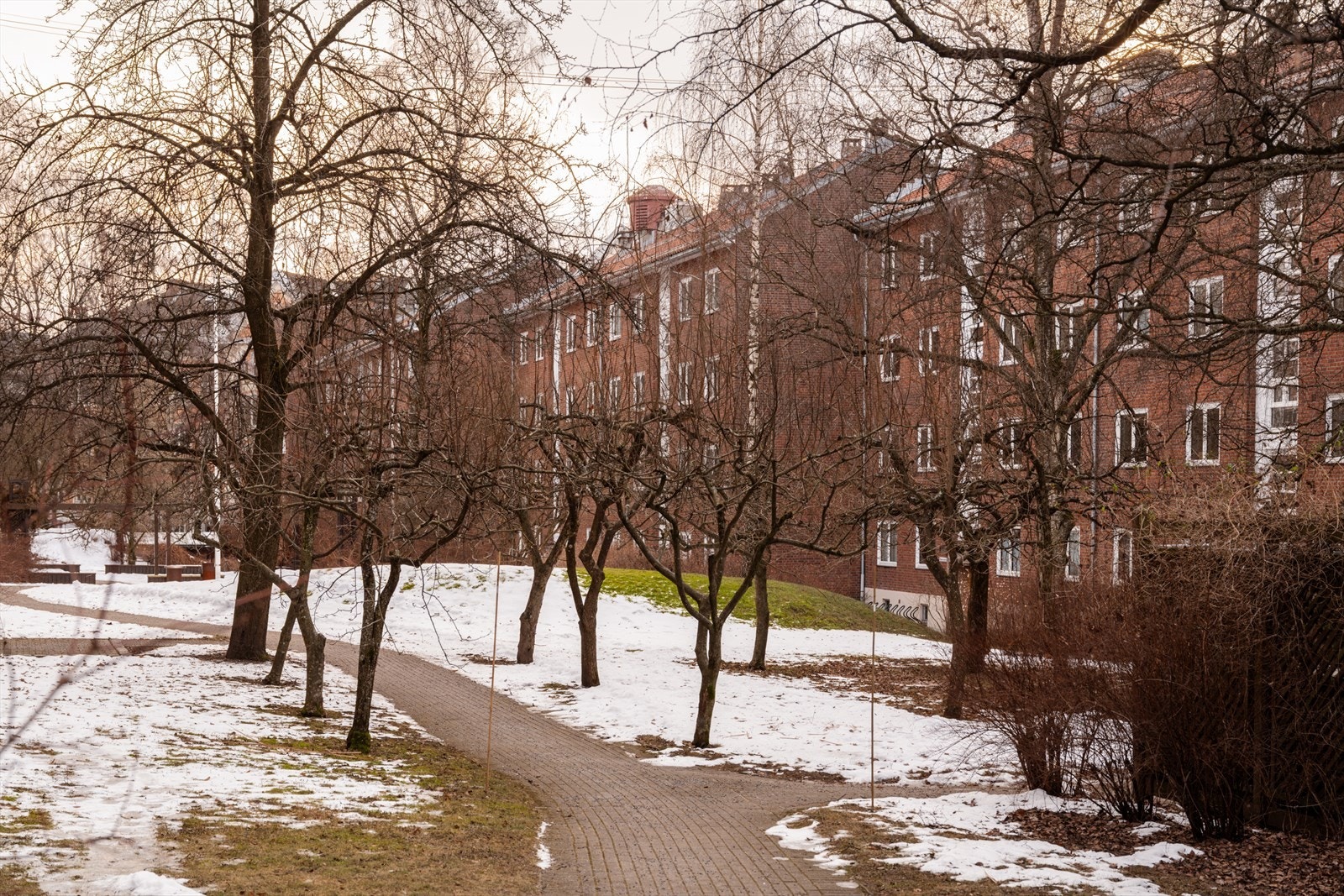 Bakgård har tidligere blitt kåret til Oslos beste hageanlegg. Galleribilde