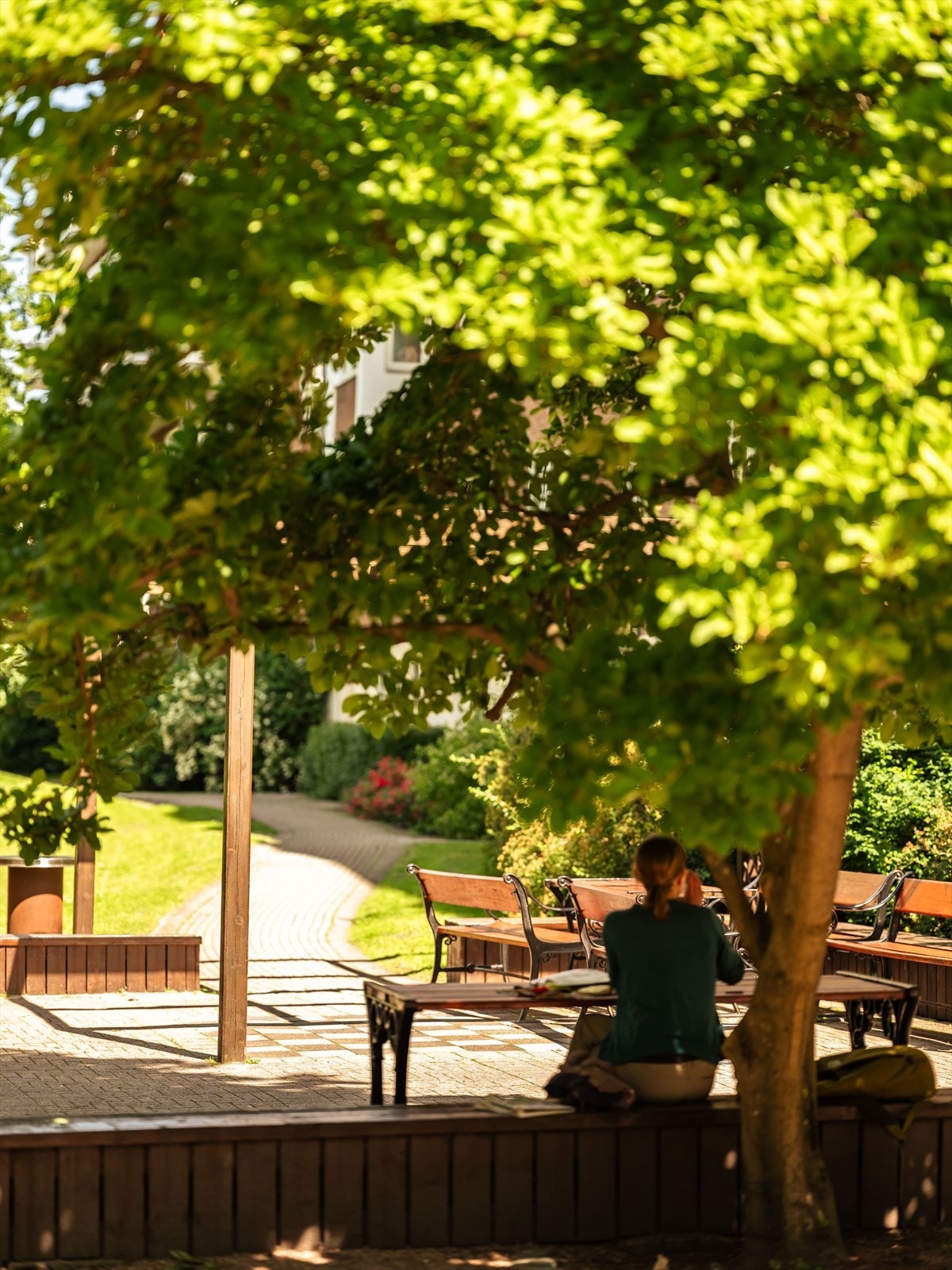 Sommerbilde av bakgård - en frodig og grønn oase. Galleribilde