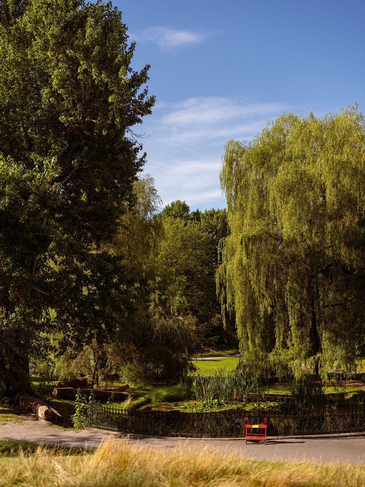 Botanisk Hage bugner av trær og blomster, og det er et yrende fugleliv. Her finner man også kafé og museum Galleribilde
