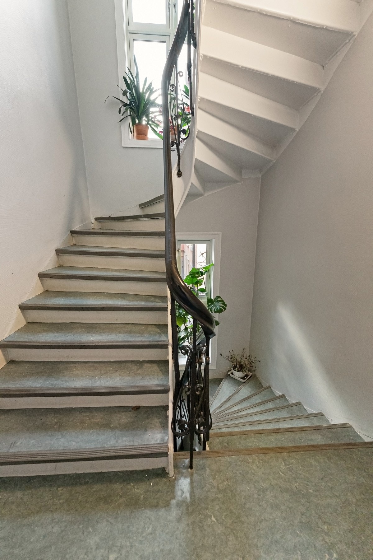 Trappegang. Galleribilde