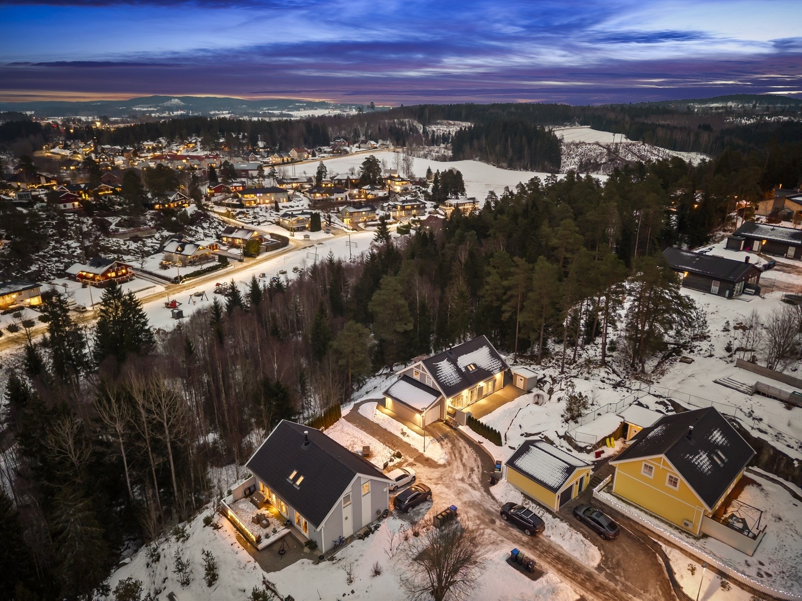 Dronefoto Galleribilde