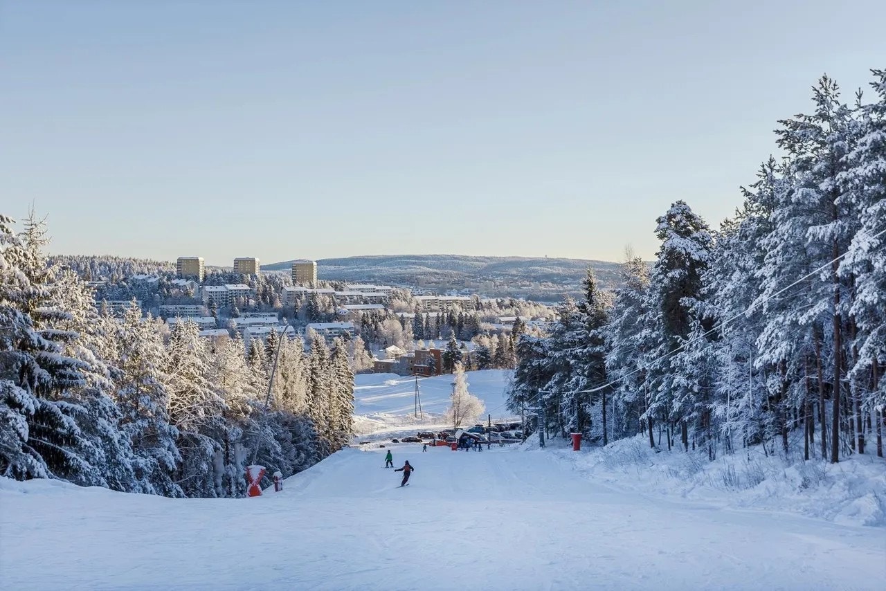 Fra leiligheten er det kort vei til blant annet Grefsenkleiva, en slalåmbakke som ligger i østskråningen av Grefsenåsen. Galleribilde