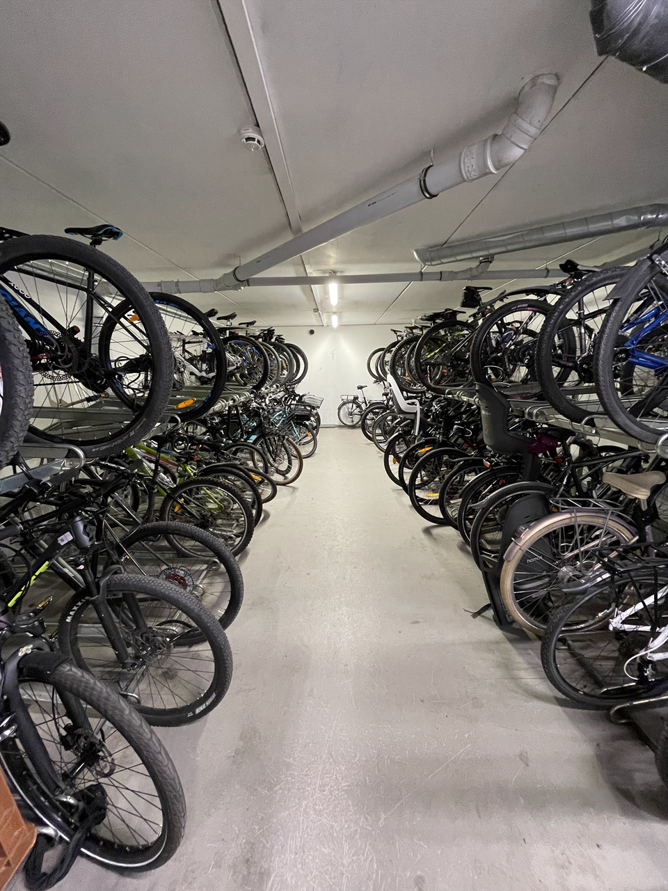 Felles sykkelbod. Galleribilde