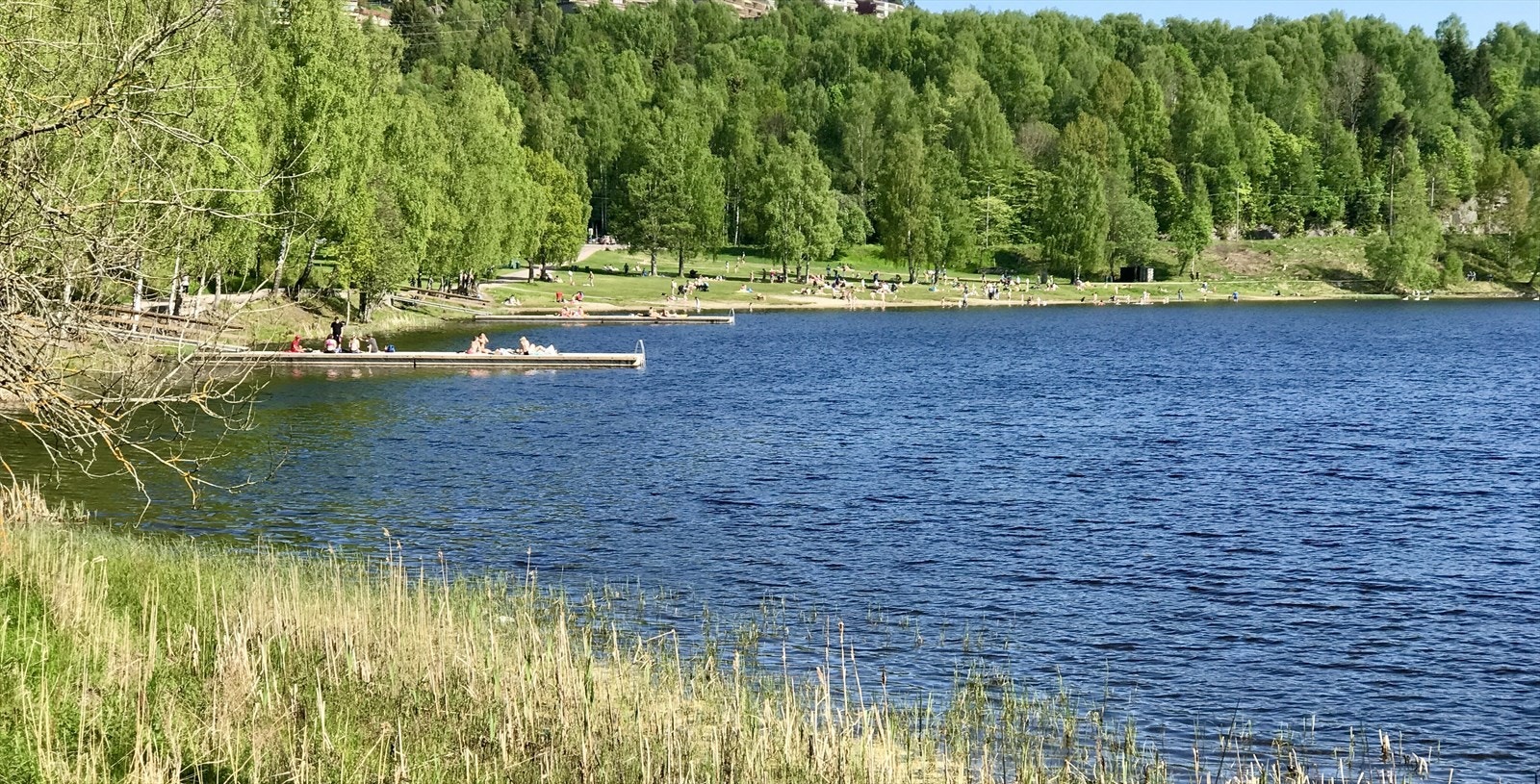 Bogstadvannet - en populær badeplass Galleribilde