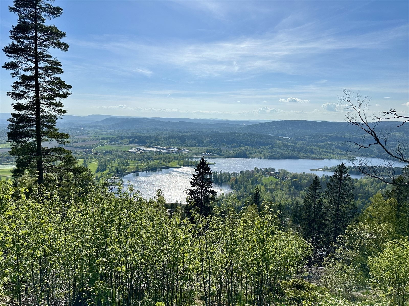 Utsikt fra tomten Galleribilde