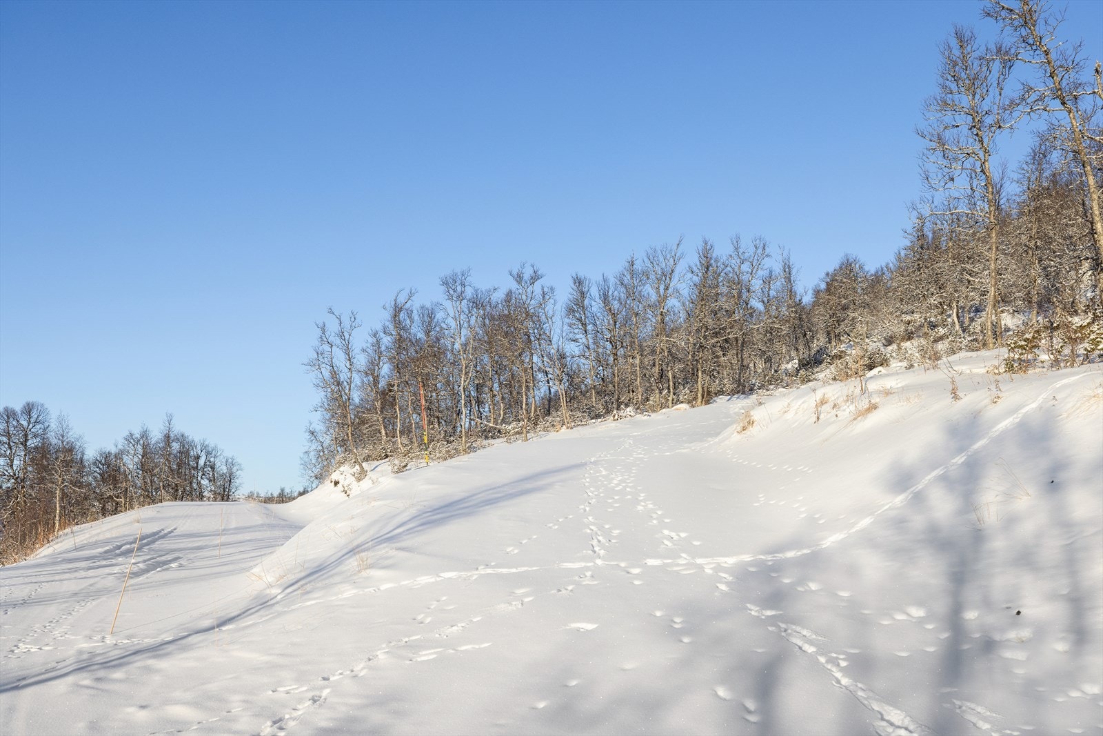 Her kan du bygge en fritidsbolig på 130 m² + uthus/bod/anneks inntil 30 m² BYA knyttet til hovedbygget, slik at byggene danner et tun. Galleribilde
