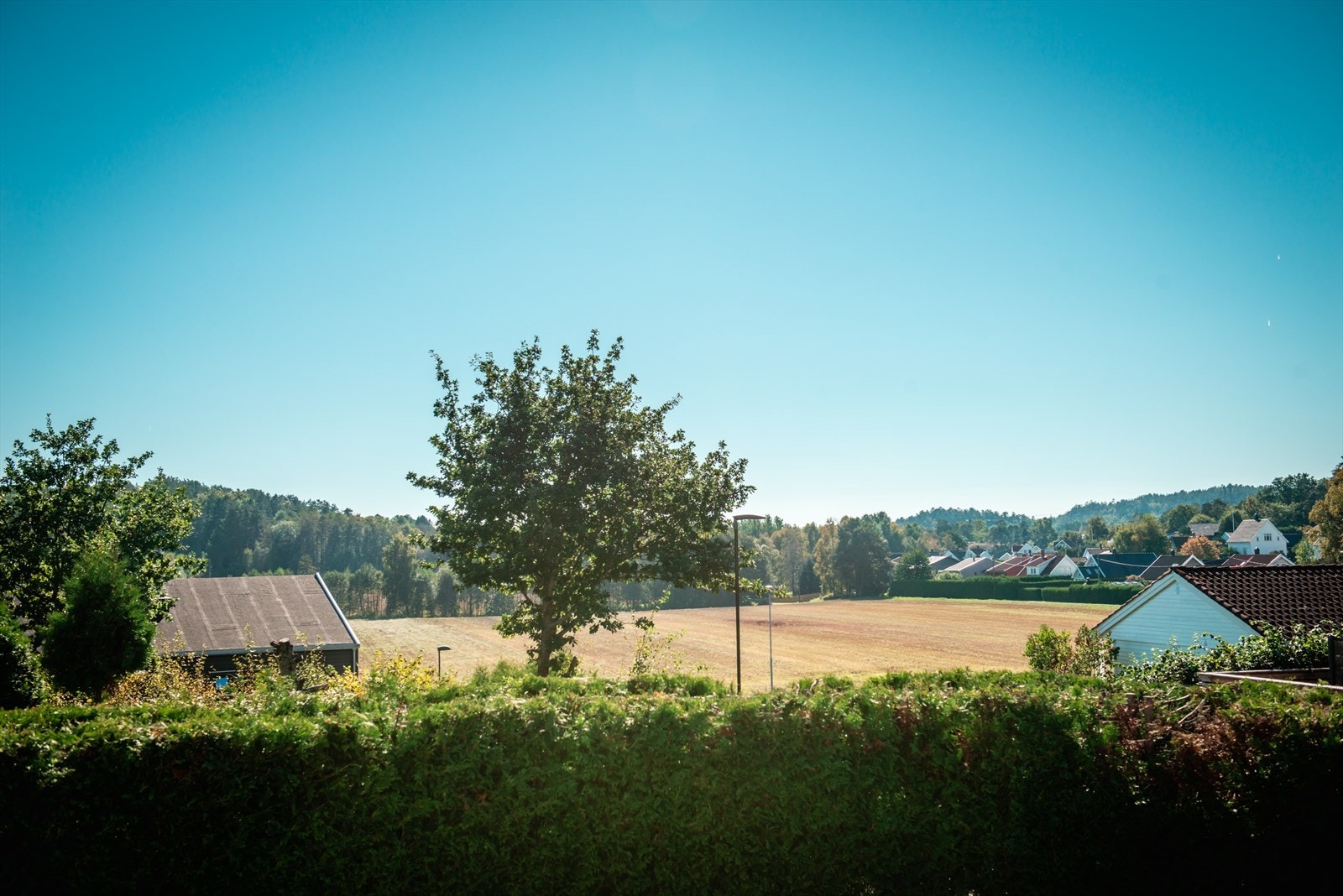 Utsyn over nærområdet. Langs jordet på høyre side går skolestien til Brunla U.skole. Galleribilde