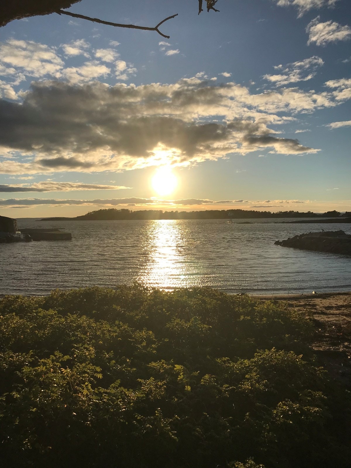 Selgers foto av duestranda Galleribilde