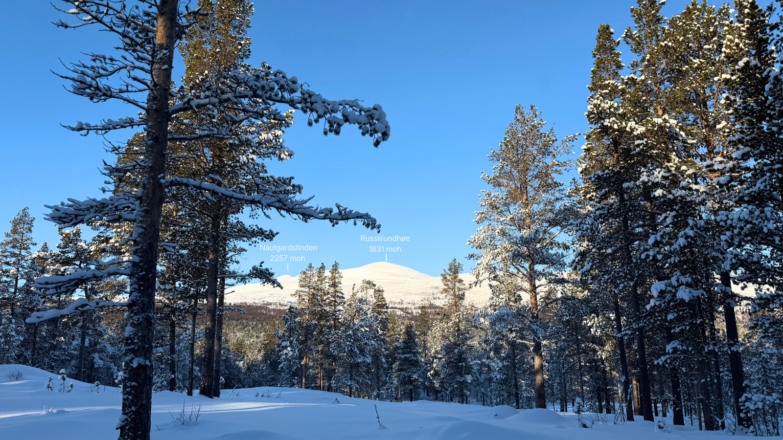 Fra terrassen har du utsikt mot Nautgardstinden og Russlirundhøe Galleribilde
