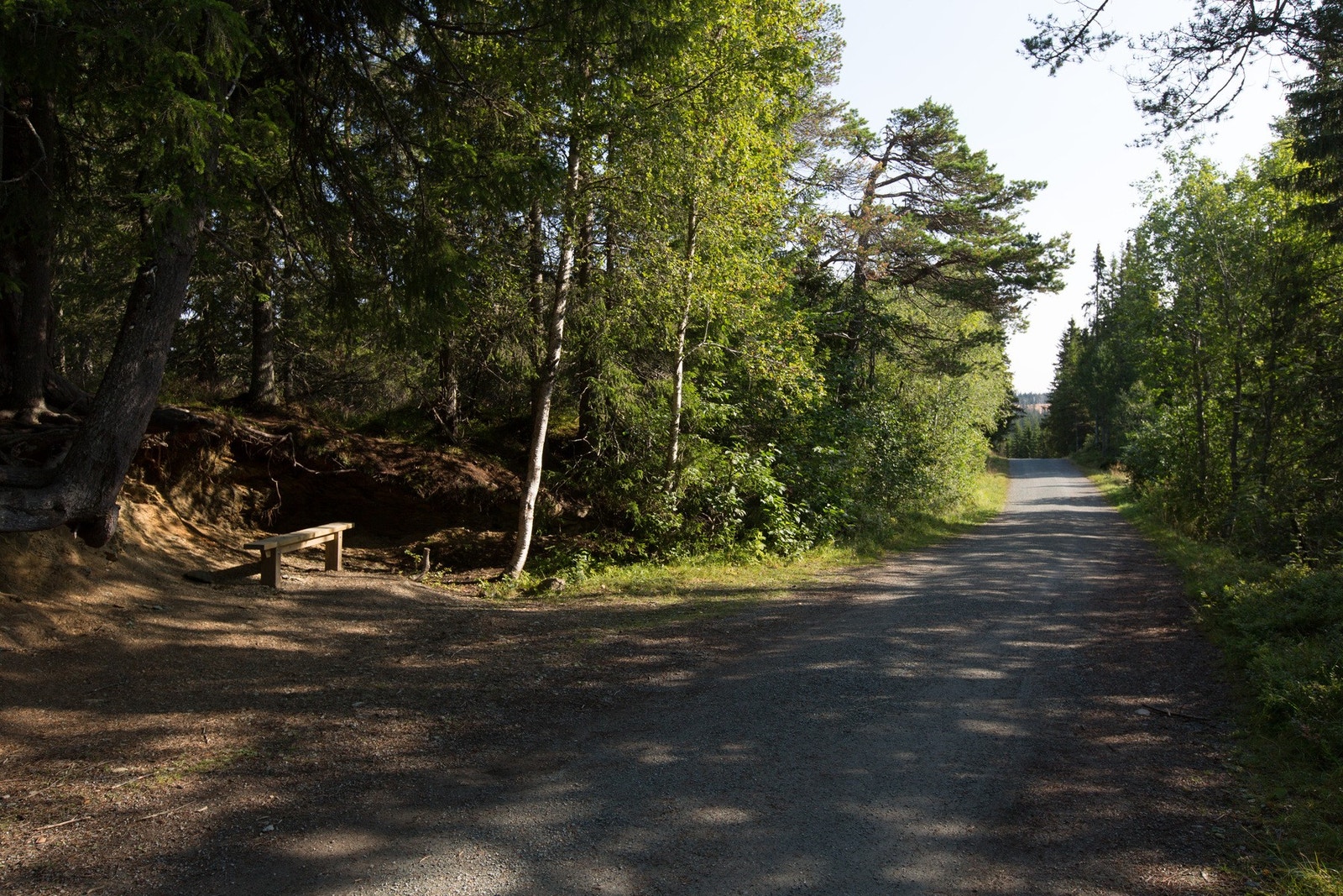 Bymarka byr på fantastiske turstier og lange preparerte skiløyper. Galleribilde
