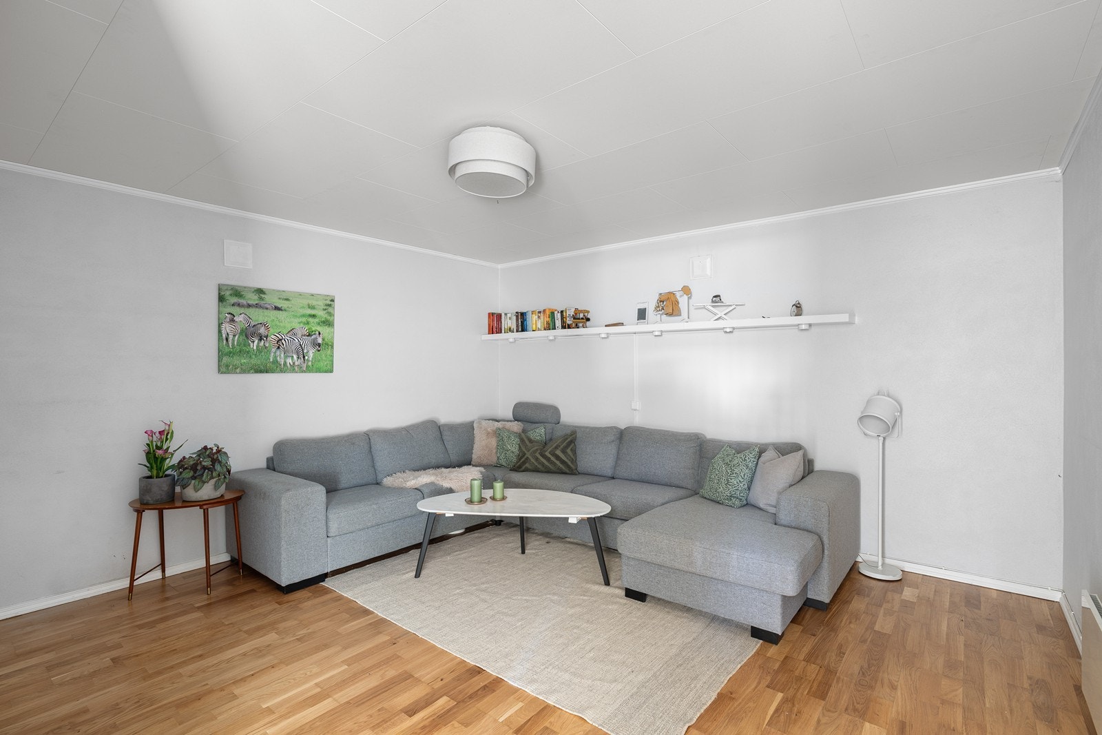 Fra gangen er det inngang til et rom innredet og benyttet som kjellerstue. I henhold til godkjente byggetegninger er rommet godkjent som bod, og regnes ikke som rom for varig opphold. Galleribilde