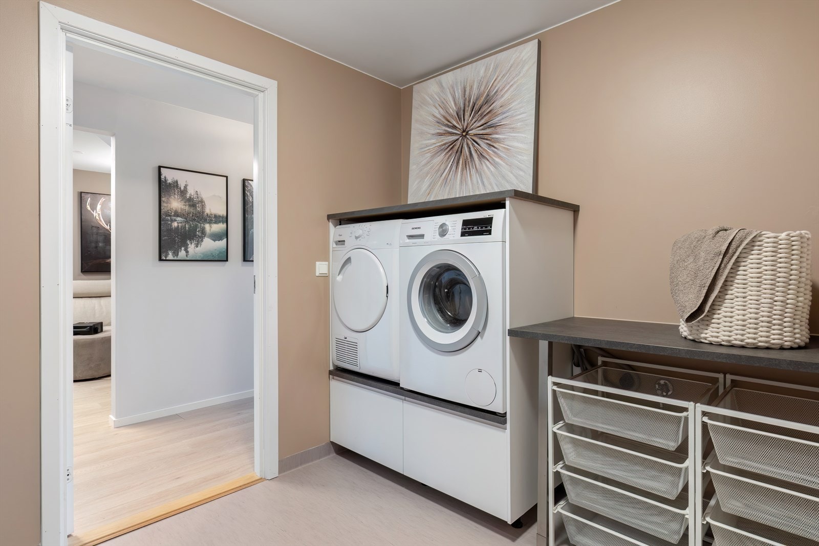 Vaskerom Galleribilde