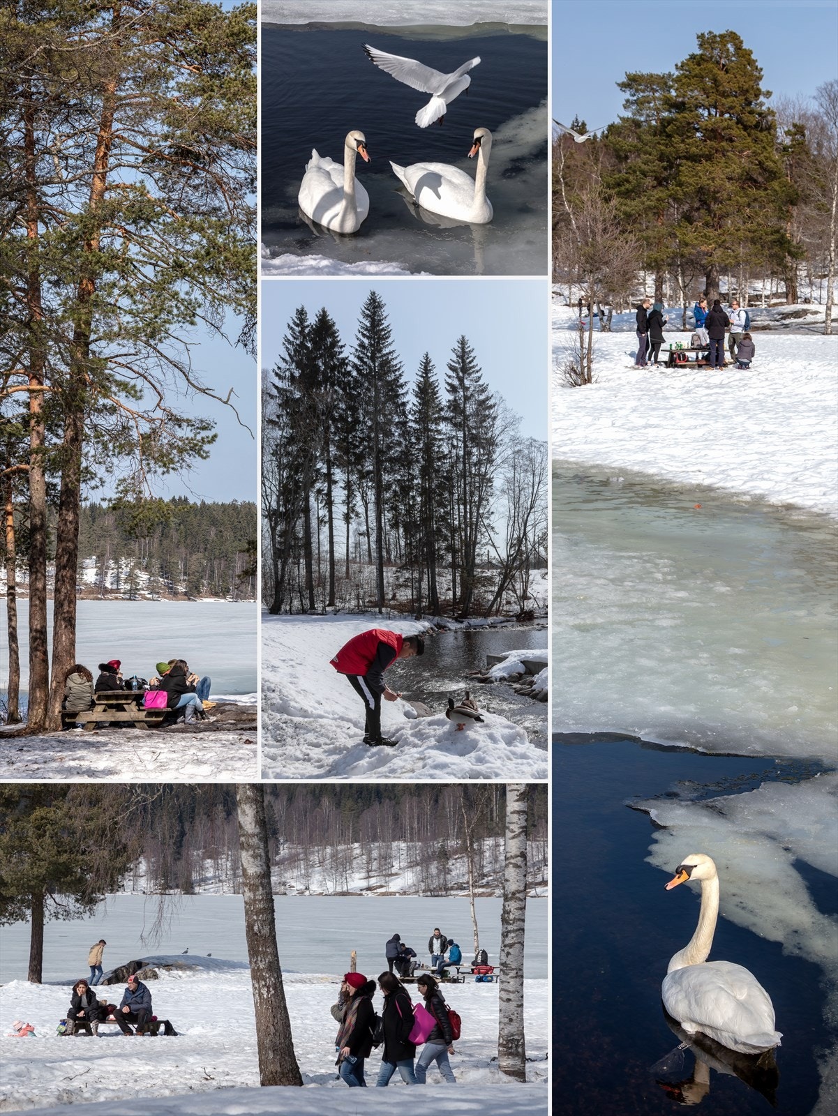 Plasseringen gir deg svært god tilgang til Nordmarka med flotte turmuligheter sommer som vinter, samt Sognsvann med bademuligheter om sommeren. Galleribilde