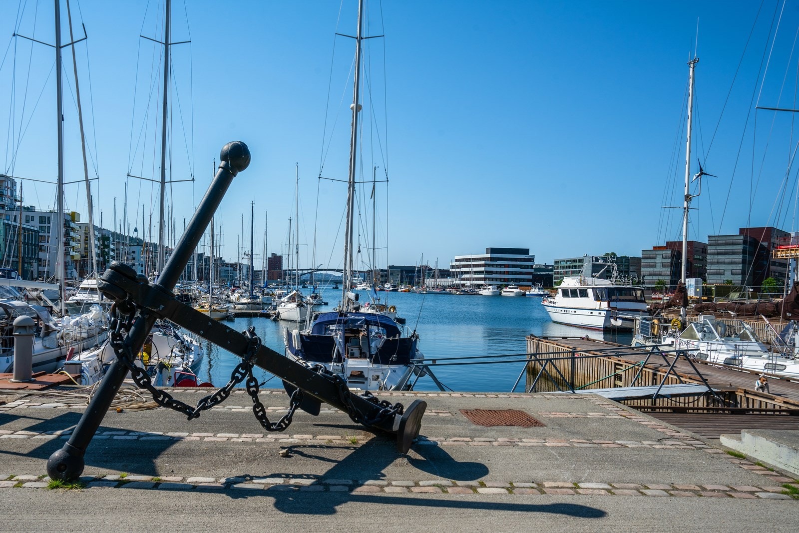 - Sjøen og de gleder det medfølger ligger kun en kort spasertur fra leiligheten. I Solheimsviken og rundt Damsgård finner du flere brygger for bading og soling - Galleribilde