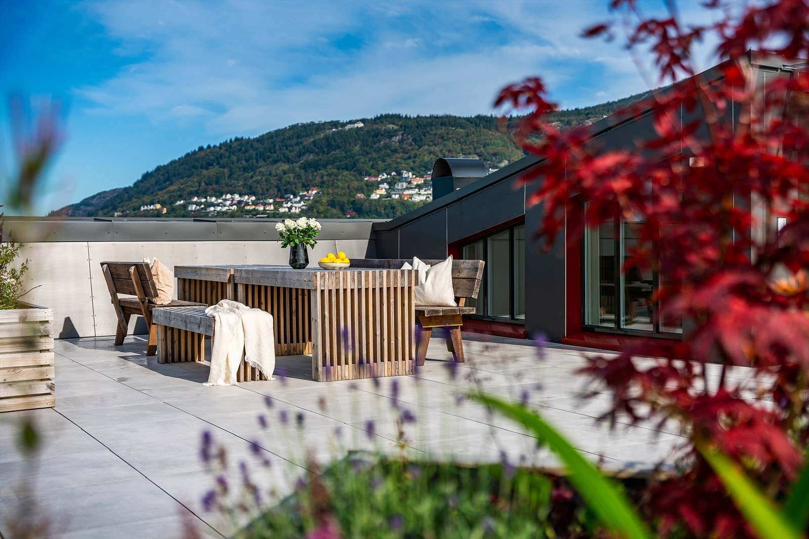 - En innbydende 2-roms med heisadkomst og felles takterrasse med nydelige sol- og utsiktsforhold - Galleribilde