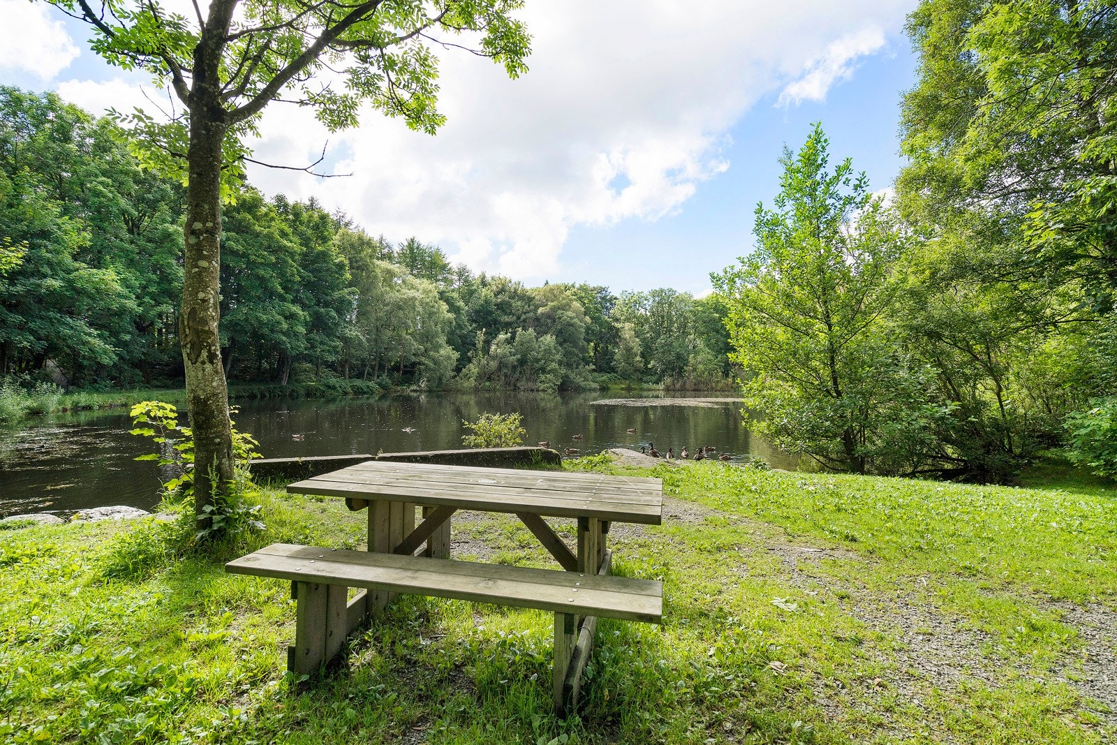 I nærheten ligger Stadionparken på Hinna, som tilbyr dagligvarer, klesbutikker, apotek, vinmonopol, frisør og restauranter. Galleribilde