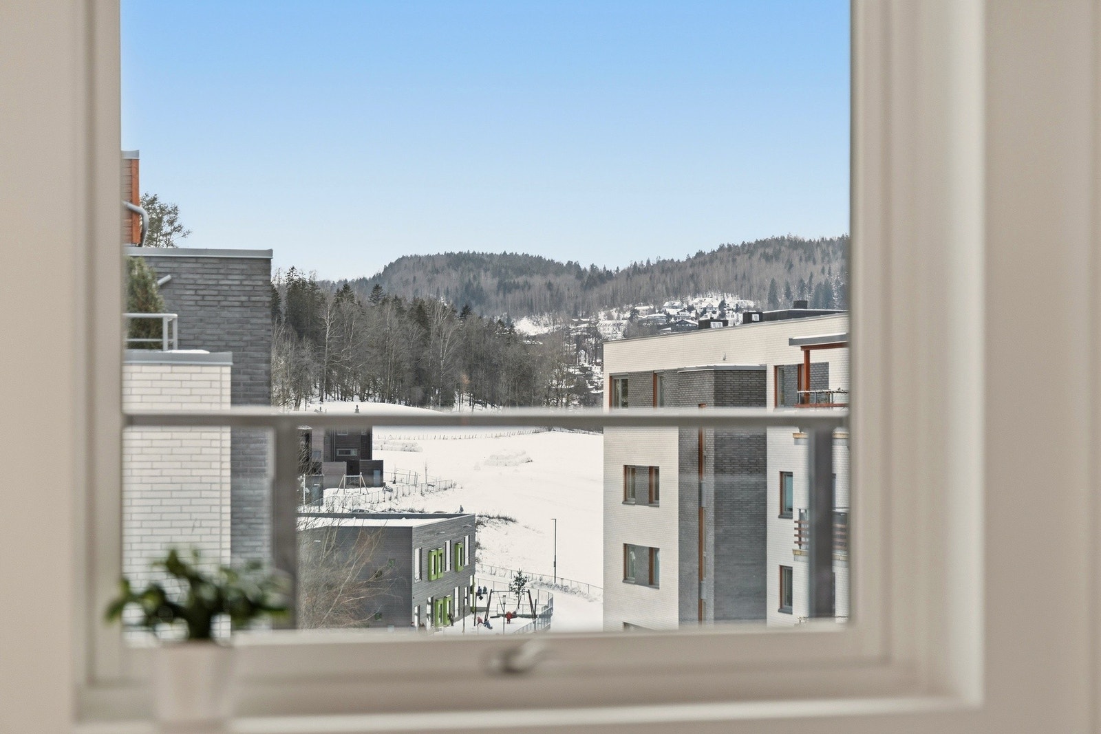 Detaljbilde. Galleribilde