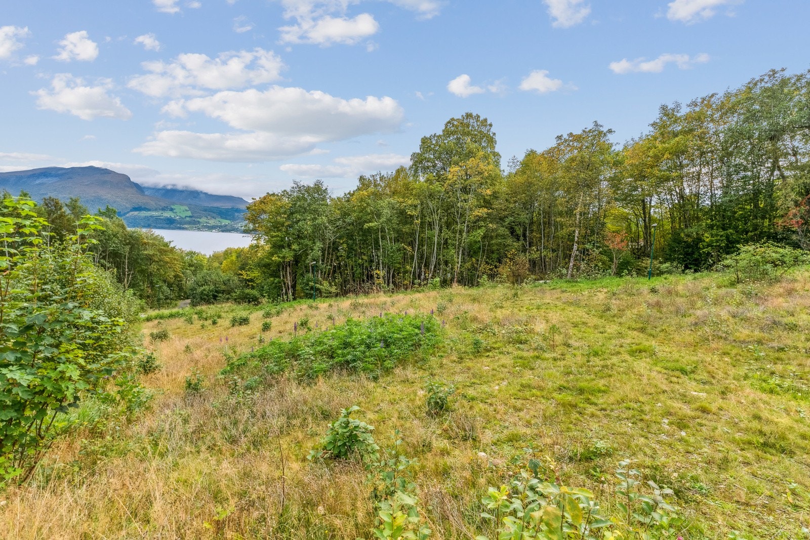 Her har du flott natur- og friområde like utanfor døra og fine turmoglegheiter for både store og små i umiddelbar nærleik Galleribilde