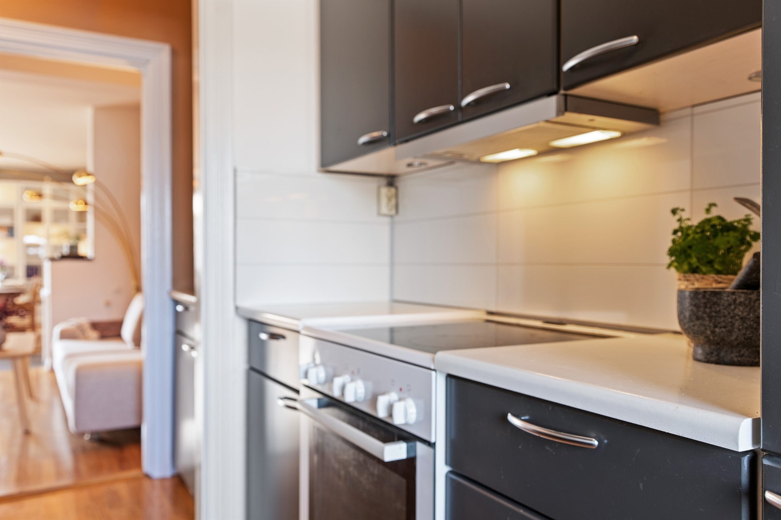 Kjøkkenets er tilrettelagt for frittstående hvitevarer. Installering av komfyrvakt og automatisk lekkasjestopper anbefales. Galleribilde