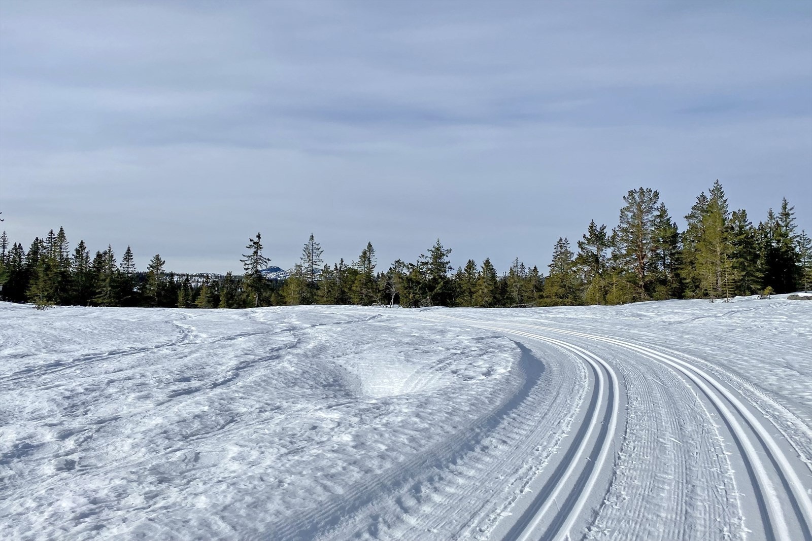 Terrenget er hovedsakelig lett kupert, men tilbyr også krevende fjellpartier for den som måtte ønske det. Det er et omfattende merket løypenett, både sommer og vinter, hvor ca. 90 km, skiløyper kjøres opp Galleribilde
