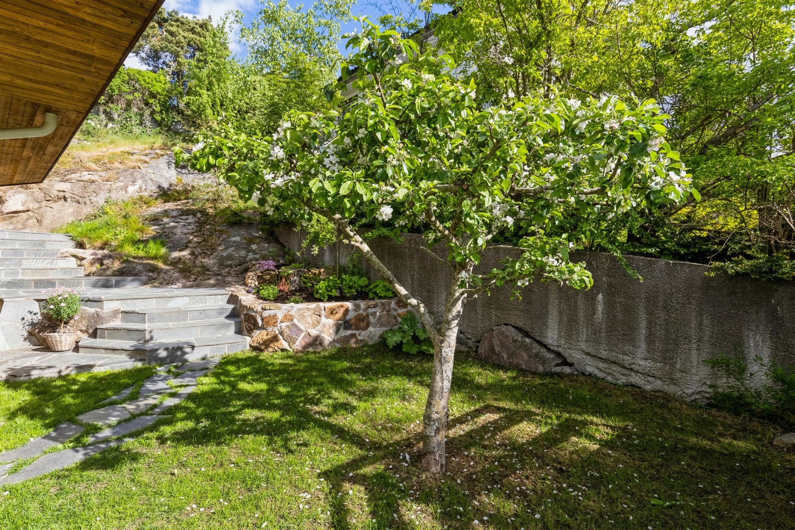 Rik beplantning med busker, blomster og stauder. Galleribilde