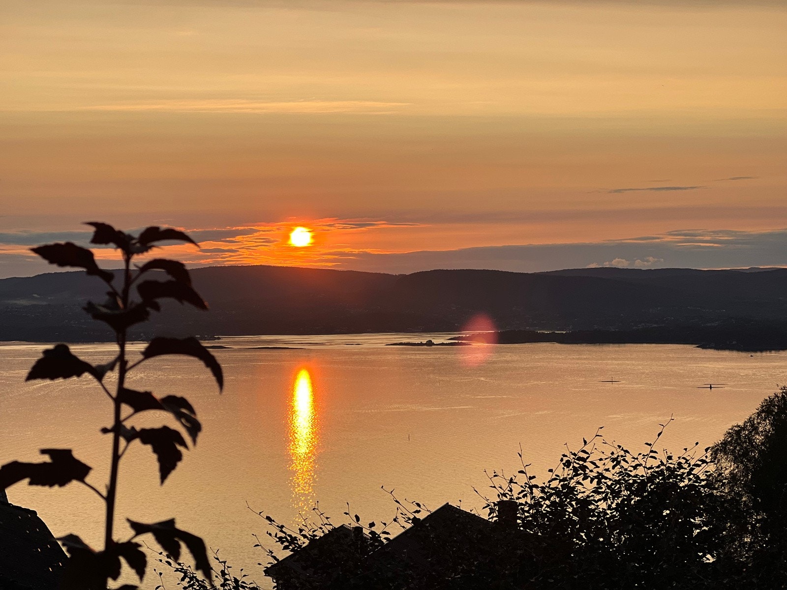 Flott enebolig med utleie og spektakulær utsikt! | Dette er som å ha verdens vakreste, levende maleri Galleribilde