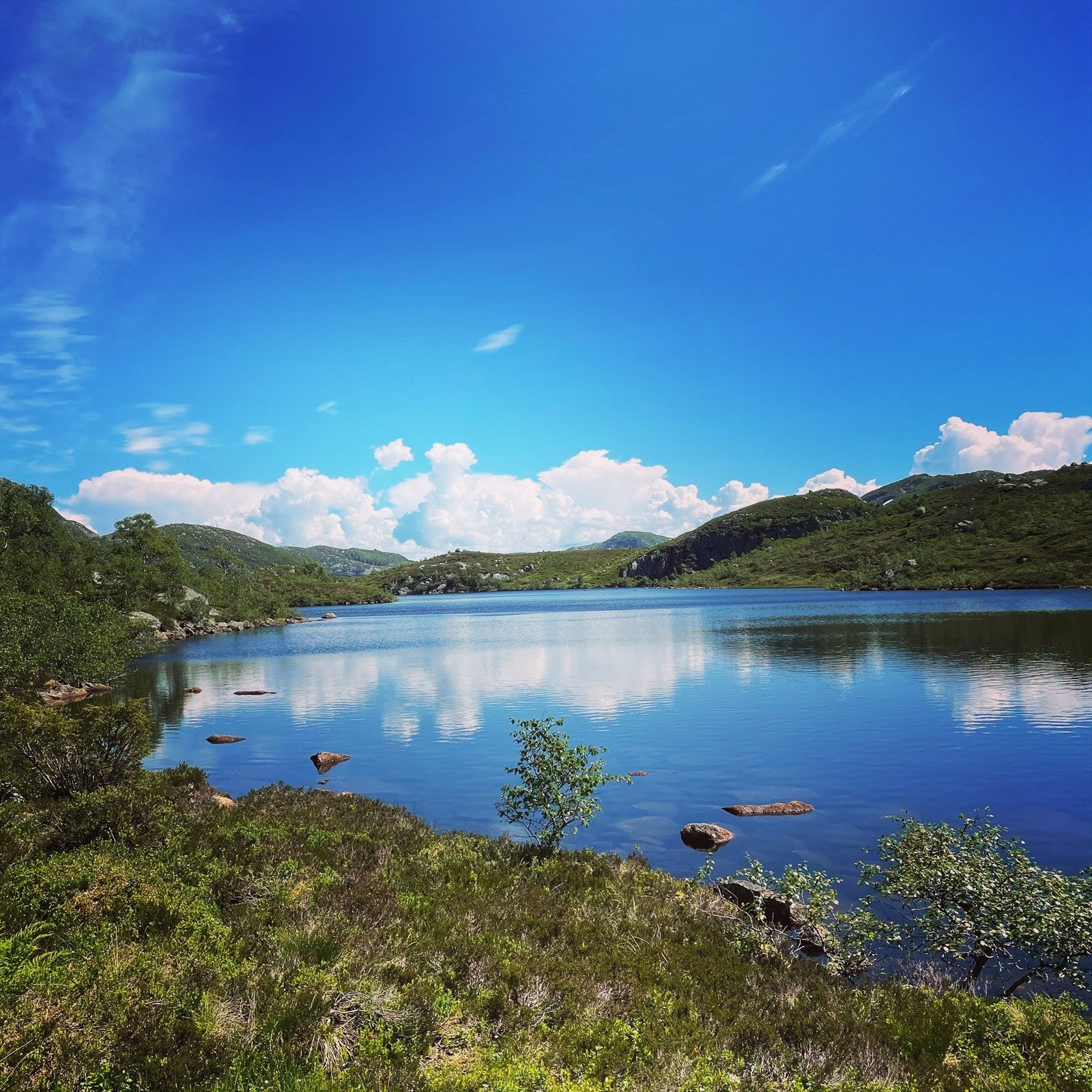 Stemningsbilde (selgers private bilder) Galleribilde