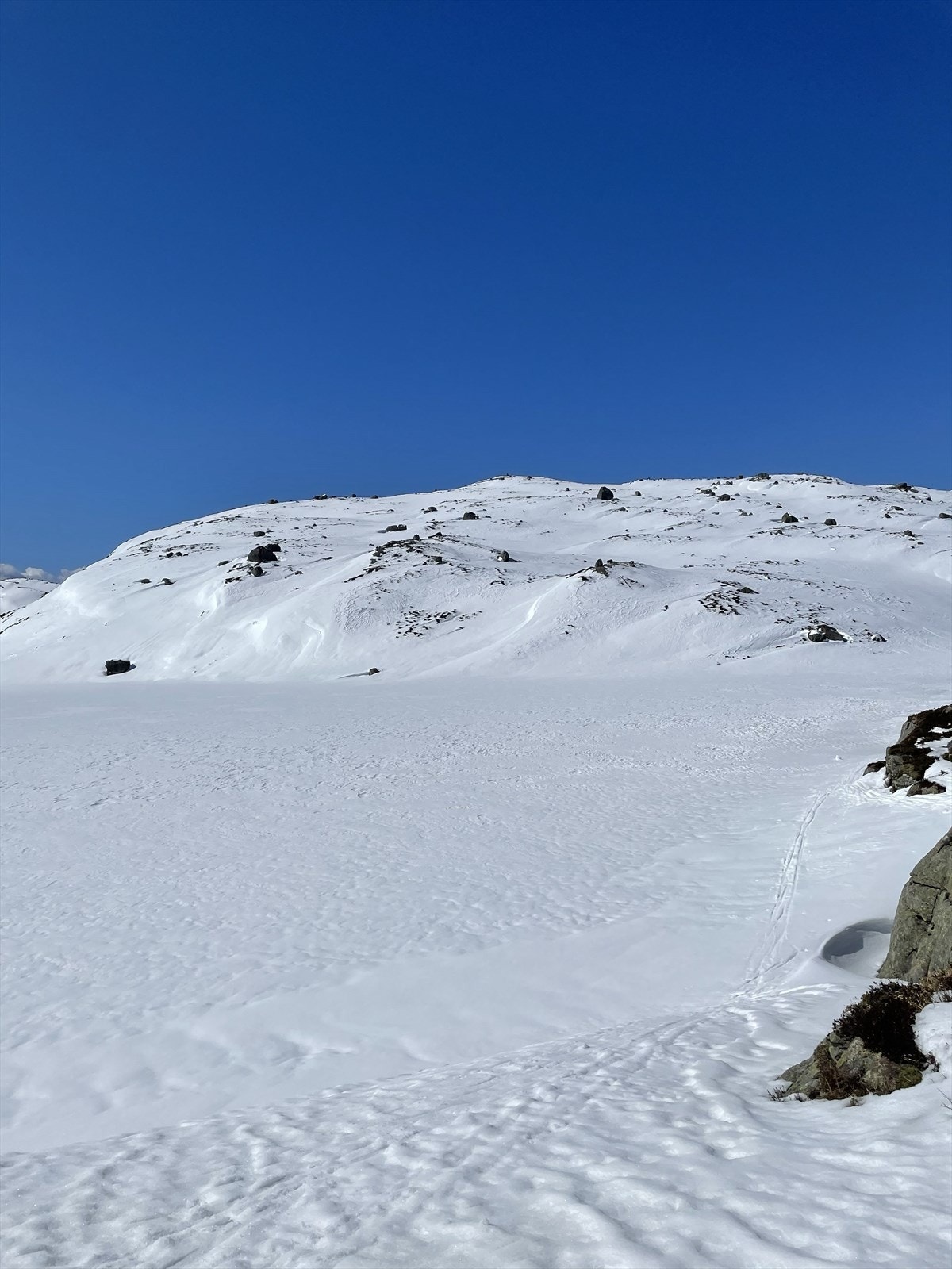 Stemningsbilde (selgers private bilder) Galleribilde