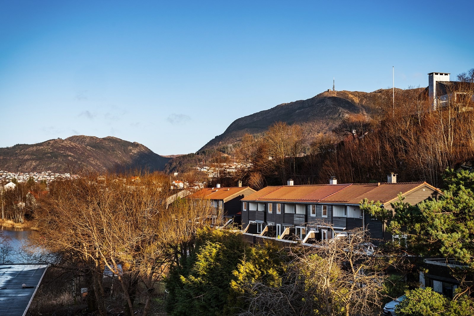 Fantastisk! Galleribilde