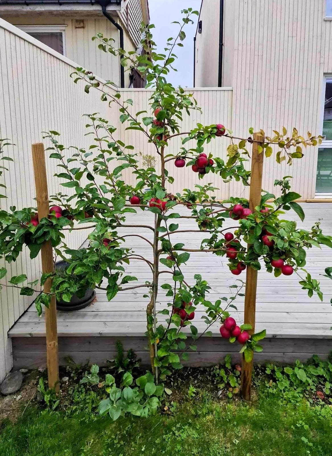 Selger private bilder Galleribilde