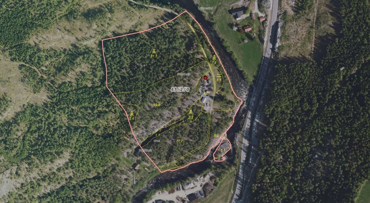 Flyfoto hentet fra Nibio gårdskart Galleribilde