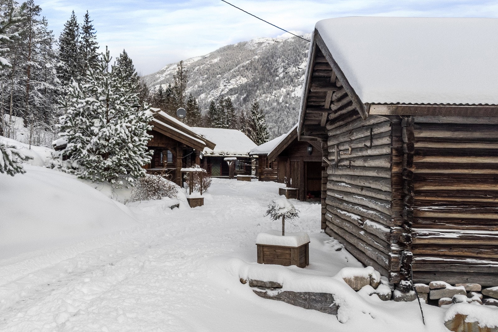 Tun med "dyrsku'n"-følelsen. Galleribilde