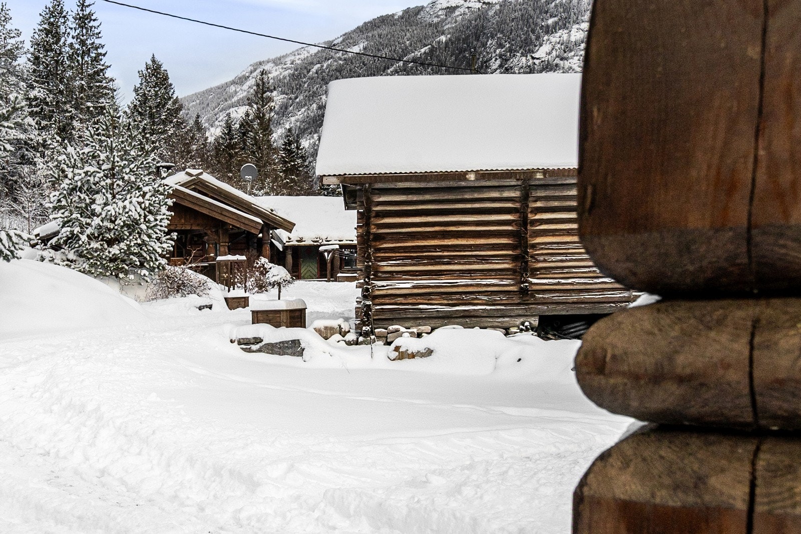 Et særdeles koselig tun ønsker deg velkommen. Galleribilde