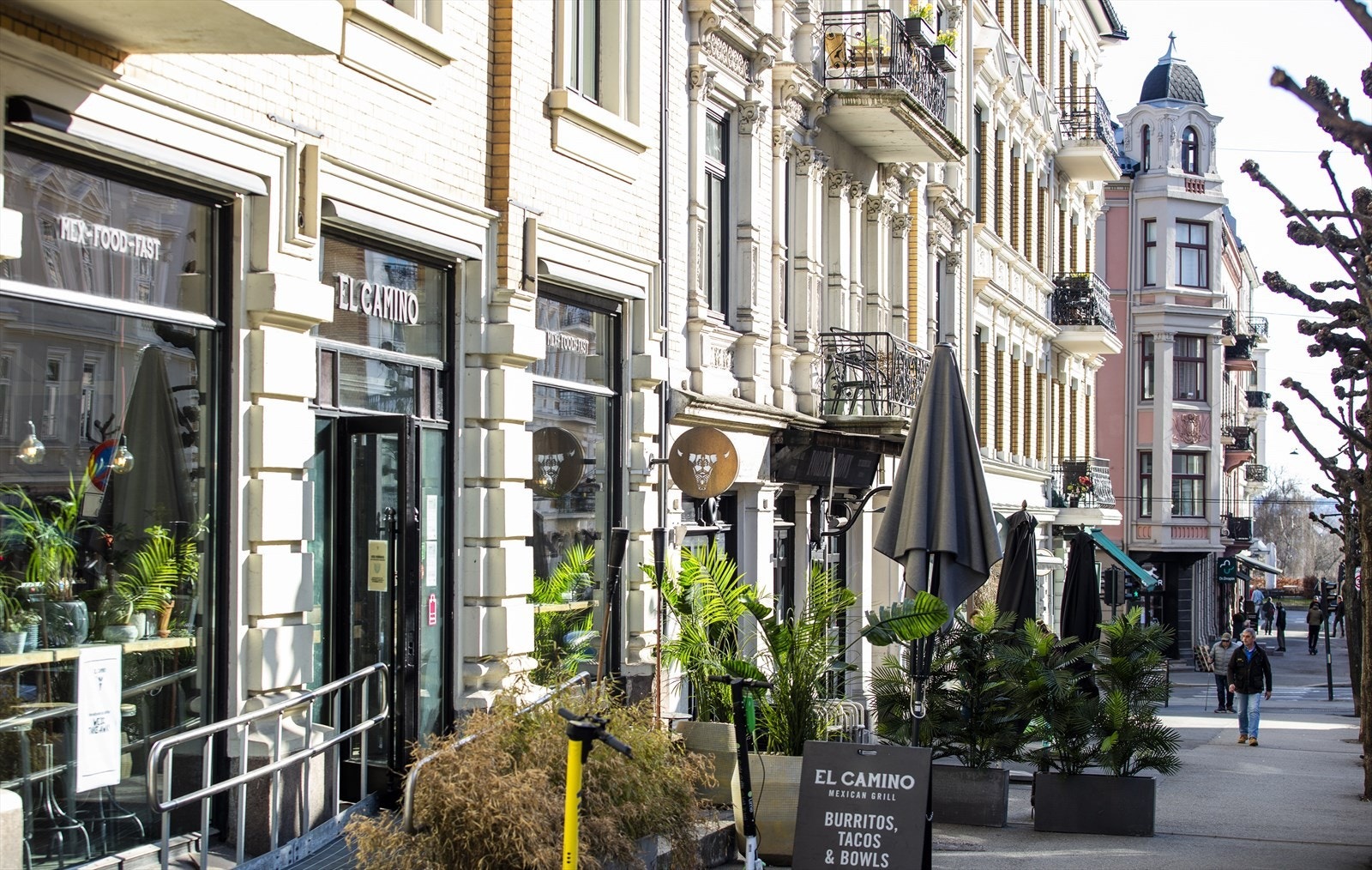 Områdebilde. Galleribilde