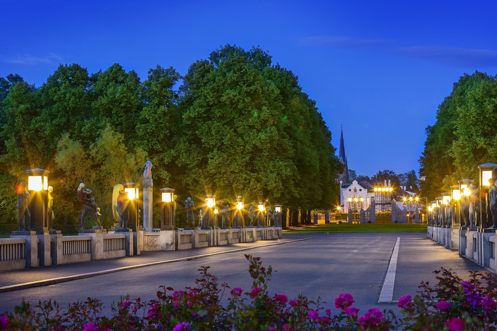 Områdebilde. Galleribilde