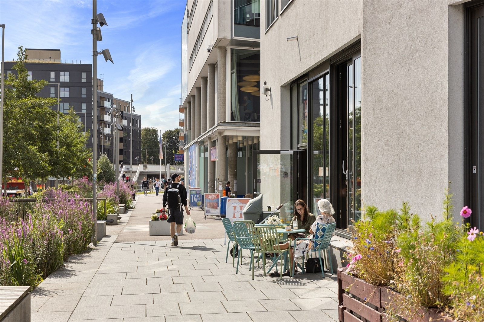 Områdebilde. Galleribilde