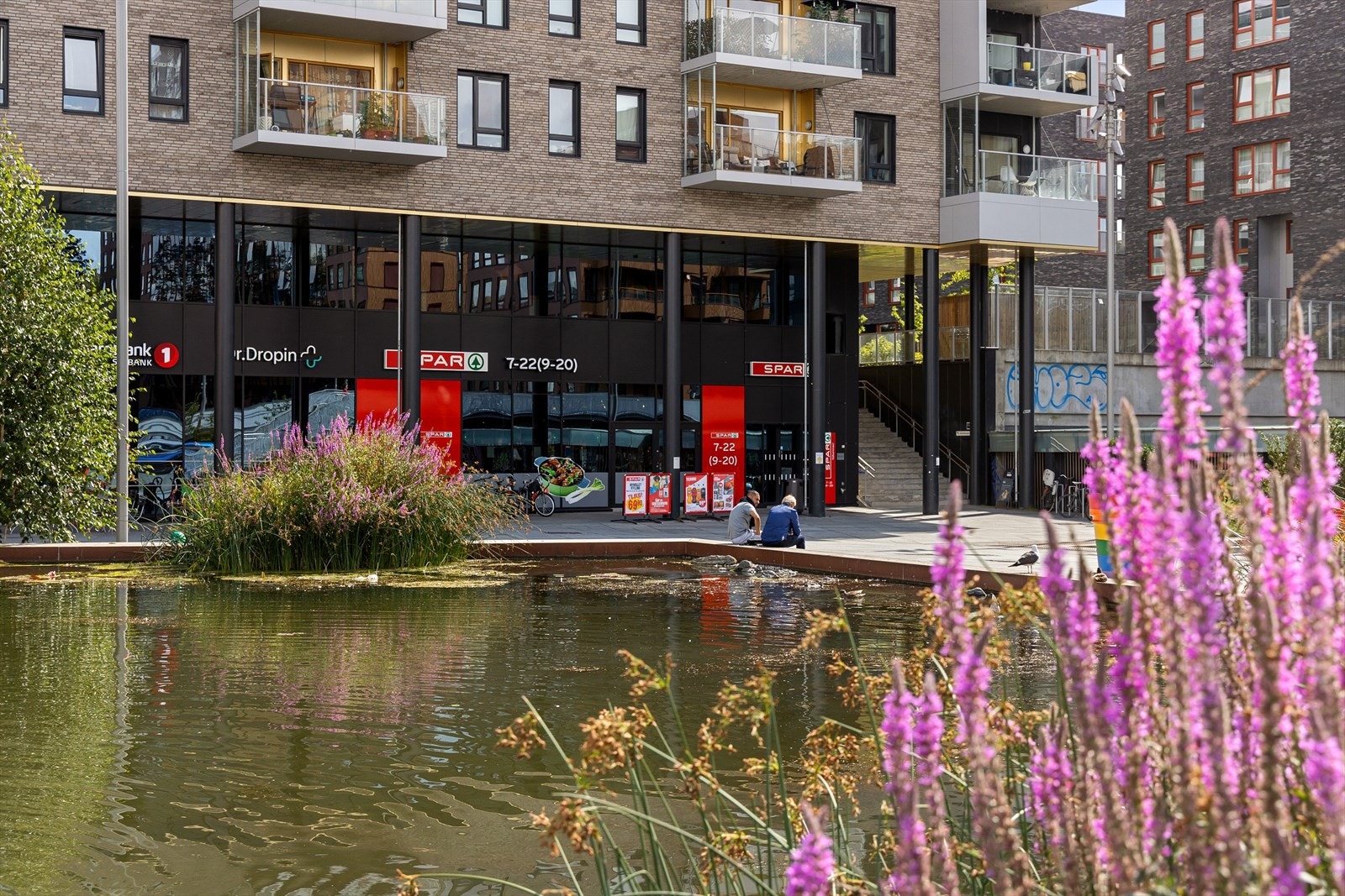 Områdebilde. Galleribilde