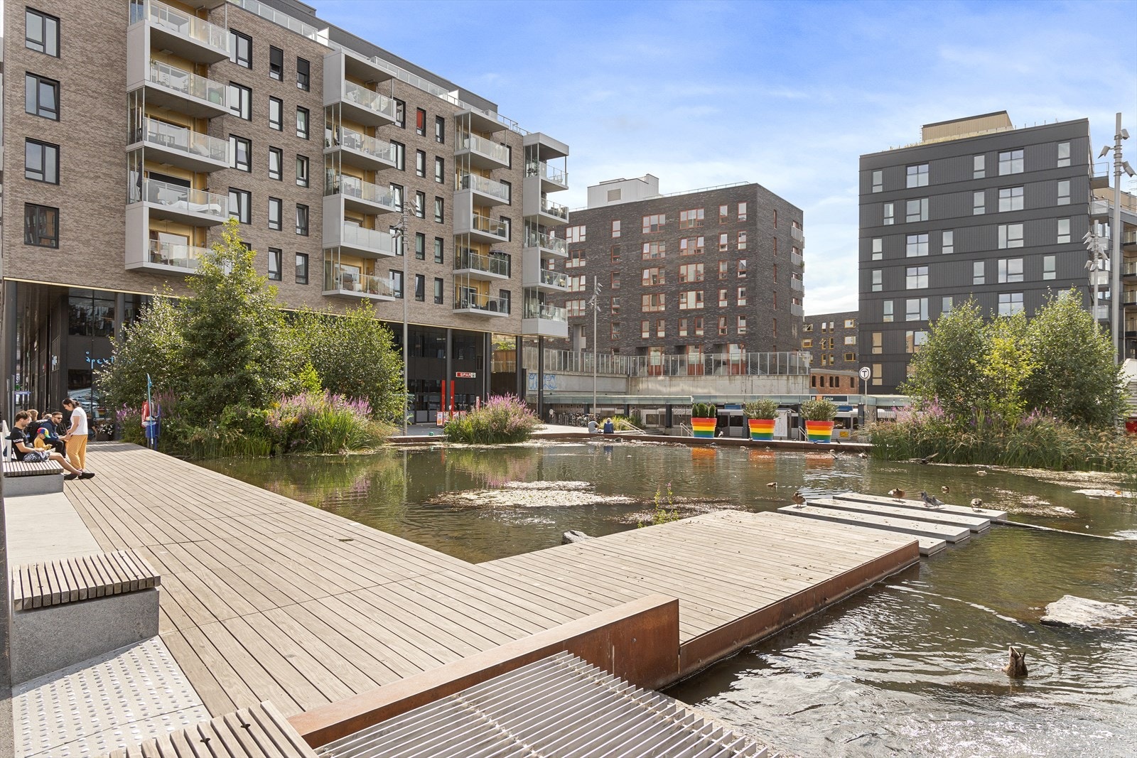 Områdebilde. Galleribilde