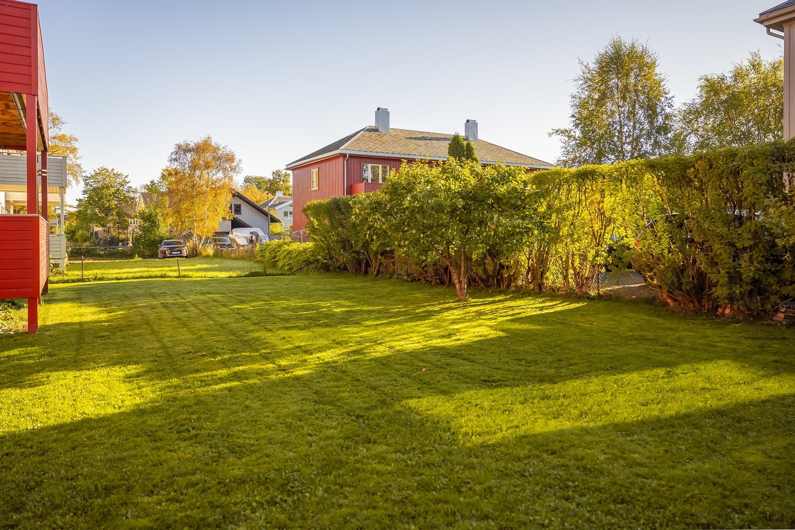 Felles hage for beboerne. Galleribilde