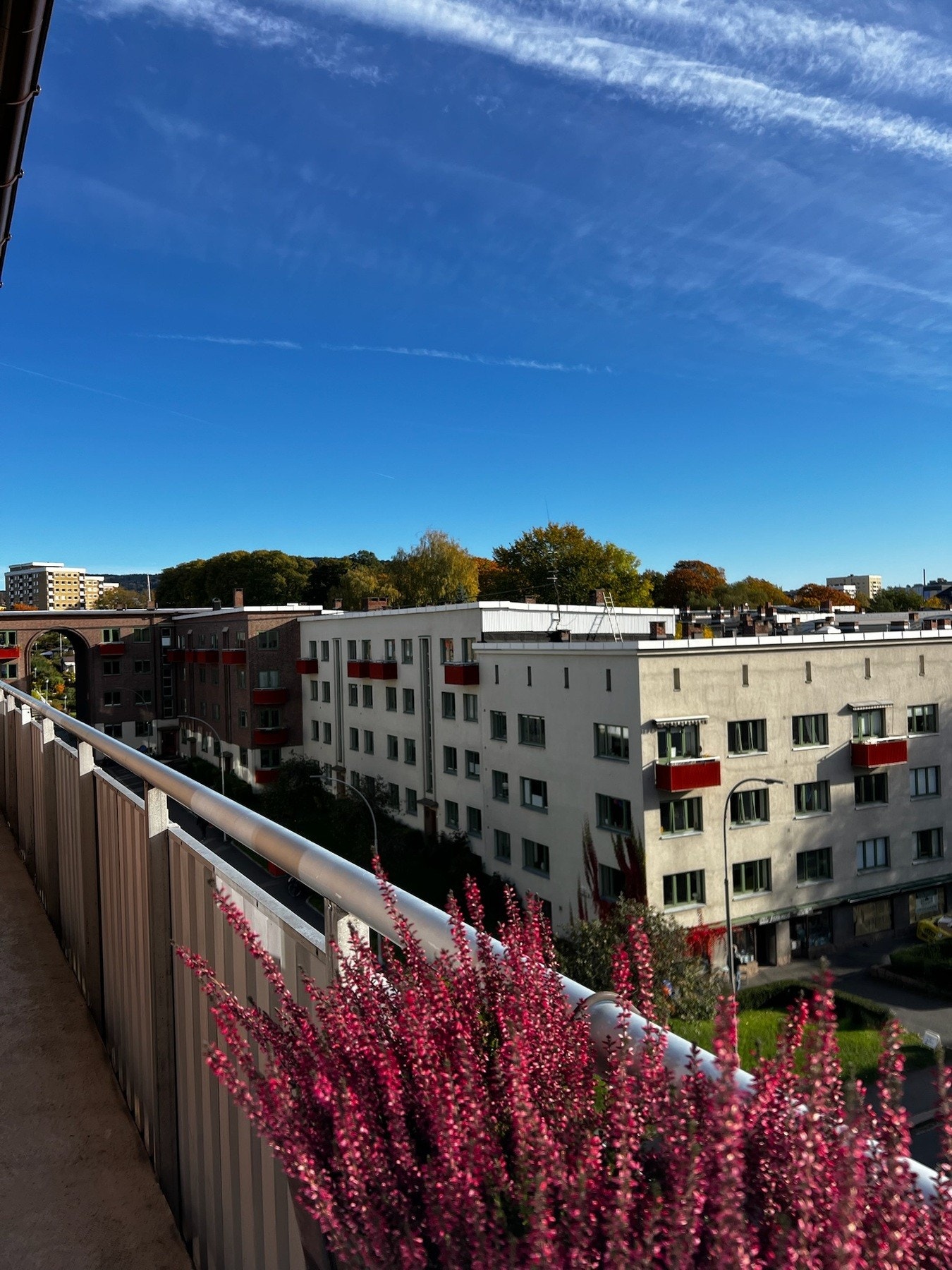 Leiligheten ligger tilbaketrukket og fredelig til på Sagene, omkranset av grønne og idylliske omgivelser. Galleribilde