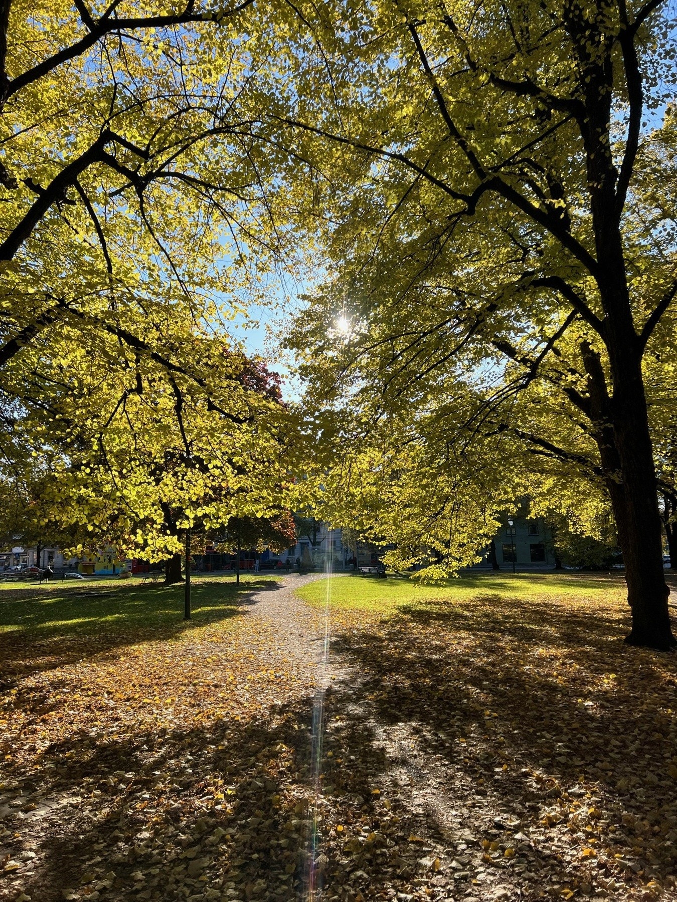 Sagene er en av bydelene i Oslo som de siste årene har hatt høyest prisvekst. Et trygt sted å investere både penger og livskvalitet. Galleribilde
