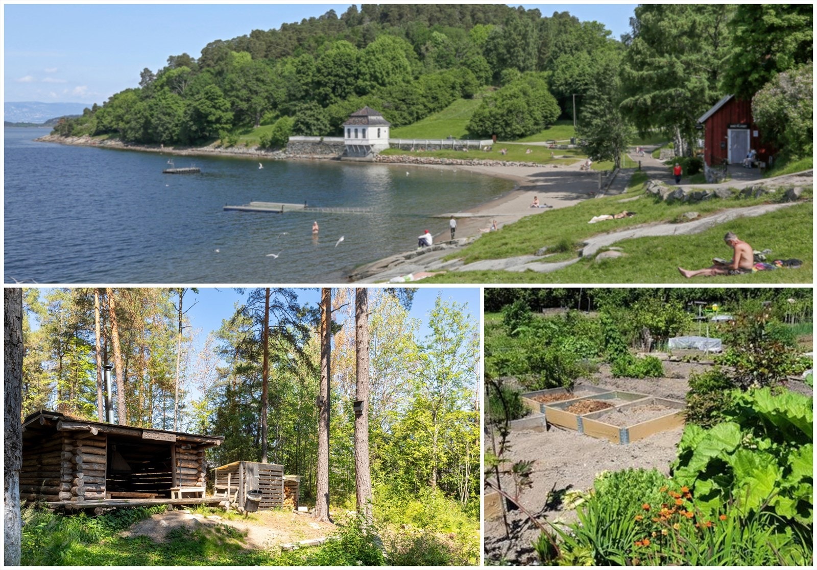 Nærområdet byr på flotte turområder. Blant annet Hvervenbukta som er innen gangavstand fra boligen. Galleribilde