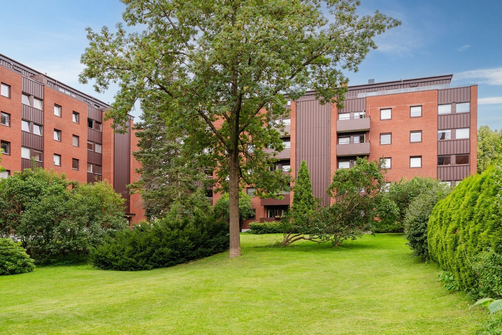 Felles hage med gressplen, beplantning og utemøbler. Gartner som har ansvaret for dette uteområde. Galleribilde