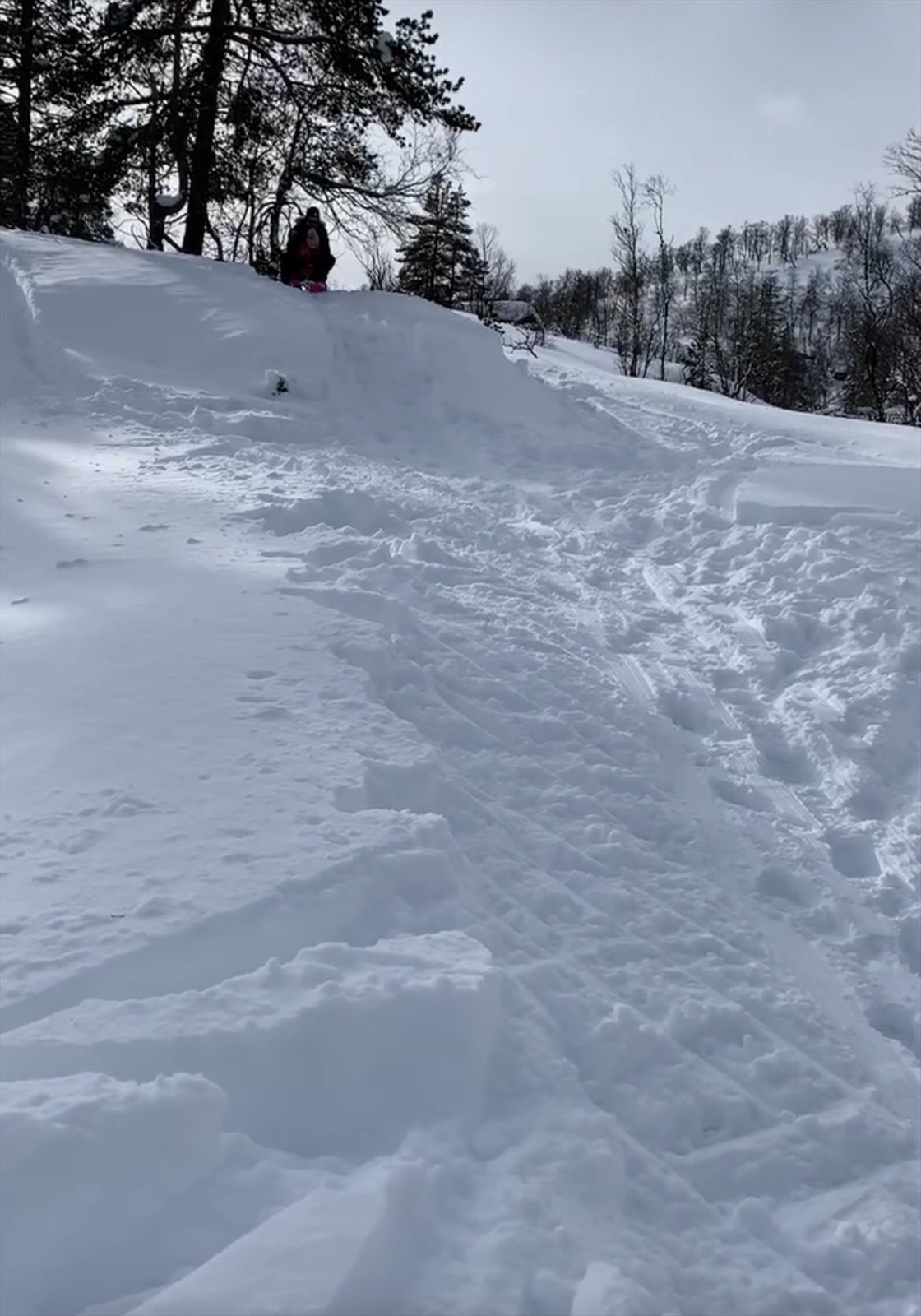 Selgers private bilder. Her ved akebakken like bak hytta til store glede for store og små! Galleribilde