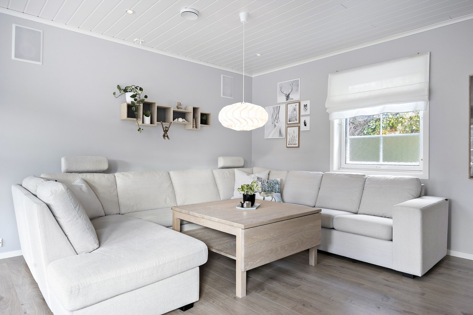 Koselig sofakrok. Galleribilde